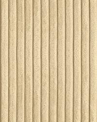 32966 16  by  Kravet 