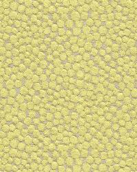 Polka Dot Plush 32972 323 Wasabi by   