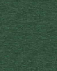 32975 35  by  Kravet 