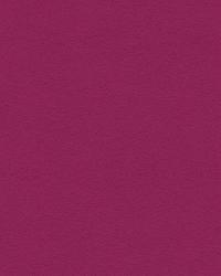 Microsuede 33093 910 Fuschia by  Kay and L 