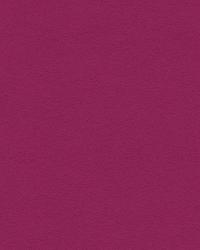 Microsuede 33093 910 Fuschia by   