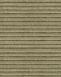 Boundaries 33117 616 Taupe by  Kravet 