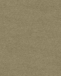 33127 11  by  Kravet 