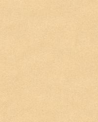 33127 111  by  Kravet 