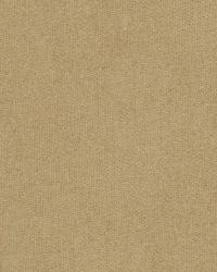 33127 116  by  Kravet 