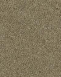 33127 611  by  Kravet 