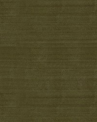 St 33438 481  Florent Silk Velvet Evergreen by   