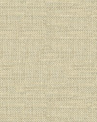 Do The Hustle 33443 11 Glacier by  Kravet 