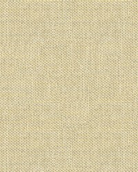 Do The Hustle 33443 411 Platinum by  Kravet 