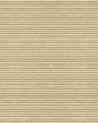 Haute Ottoman 33509 11 Stone by  Kravet 