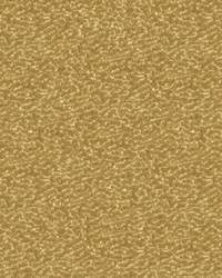 Turn Heads 33514 16 Vanilla by  Kravet 