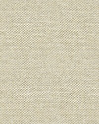 Sugar Drops 33555 11 Platinum by  Kravet 