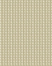 Rare Coin 33557 106 Platinum by  Kravet 