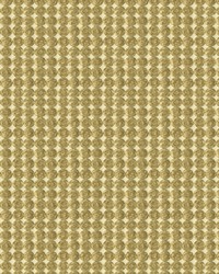 Rare Coin 33557 4 White Gold by  Kravet 