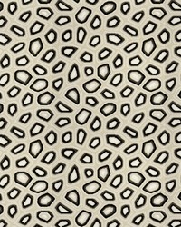 Chic Tortoise 33561 81 Anthracite by  Kravet 