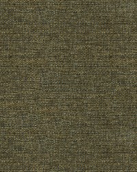 33582 1516  by  Kravet 