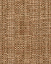 Arid Strie 33646 616 Plum by  Kravet 