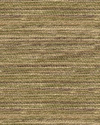 Earthen 33707 316 Grass by  Kravet 