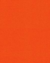 Minnelli 33779 12 Orange by   