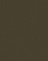 Minnelli 33779 21 Charcoal by   
