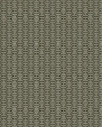 Nzuri 33862 1621 Thunder by  Kravet 