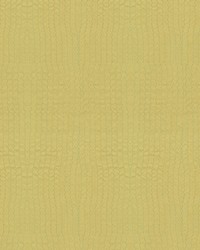 Saguaro 33869 23 Sulphur by  Kravet 