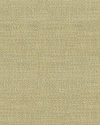 34014 16  by  Kravet 