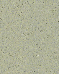 Chalcedony 34132 415 Mineral by   