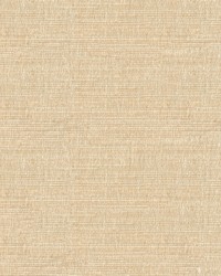 34191 1116  by  Kravet 