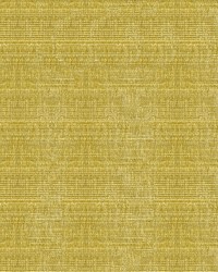 34191 303  by  Kravet 
