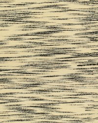 34200 816  by  Kravet 