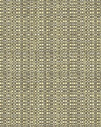 34210 1121  by  Kravet 