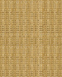 34210 416  by  Kravet 