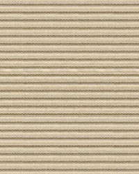 34222 34222.1616 by  Kravet 