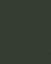 34223 21  by  Kravet 