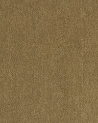 Windsor Mohair 34258 106 Truffle by   