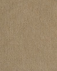 Windsor Mohair 34258 11 Atmosphere by   