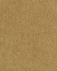 Windsor Mohair 34258 116 Taupe by   