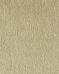 Plazzo Mohair 34259 311 Eucalyptus by   