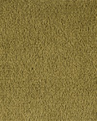 Plazzo Mohair 34259 458 Moss by   