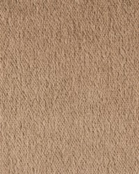 Plazzo Mohair 34259 800 Mocha by   