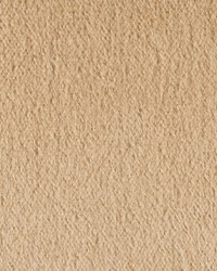 Plazzo Mohair 34259 801 Camel by   