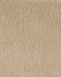 Plazzo Mohair 34259 931 Pumice by   