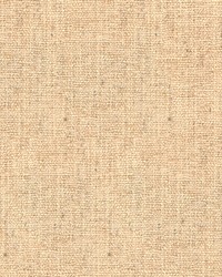 34300 1116  by  Kravet 