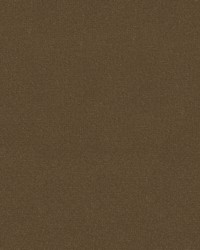 Statuesque 34328 106 Mocha by   