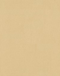 Statuesque 34328 1116 Cream by   