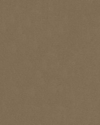 Statuesque 34328 1611 Taupe by   