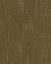 Statuesque 34328 1616 Camel by   