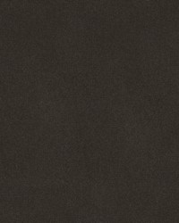 Statuesque 34328 21 Gray by   