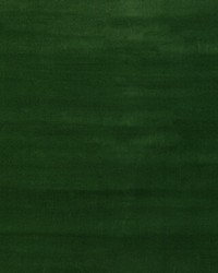 Statuesque 34328 53 Forest by   